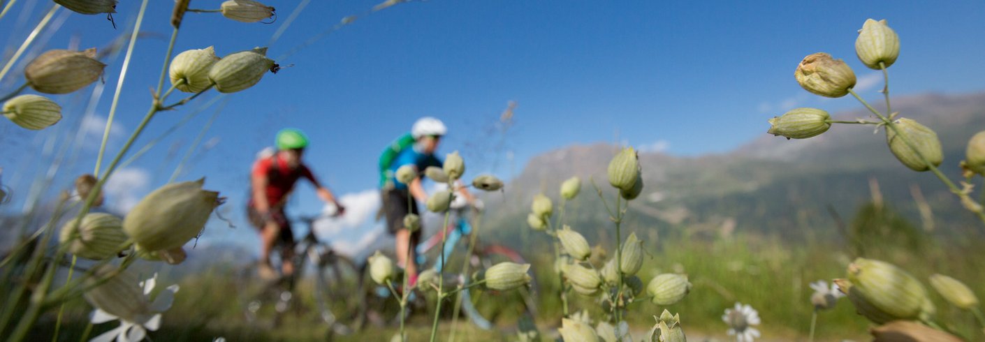 Bikeurlaub im Ötztal, Ausgangspunkt: Hotel Jägerhof Oetz