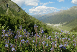 Motorradhotel im Ötztal : Ihr Motorradhotel in Oetz